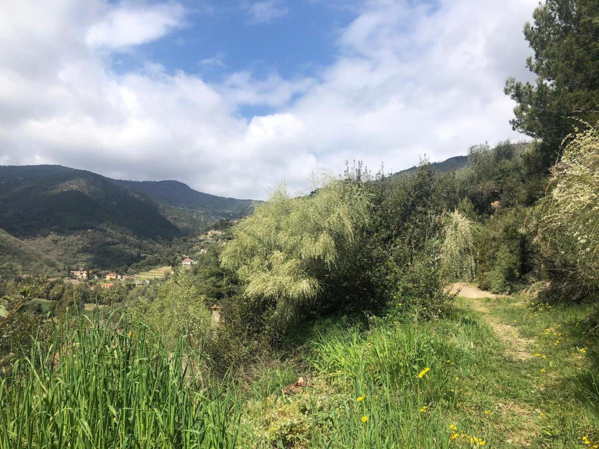Villa D'Artisti San Remo Zewnętrze zdjęcie