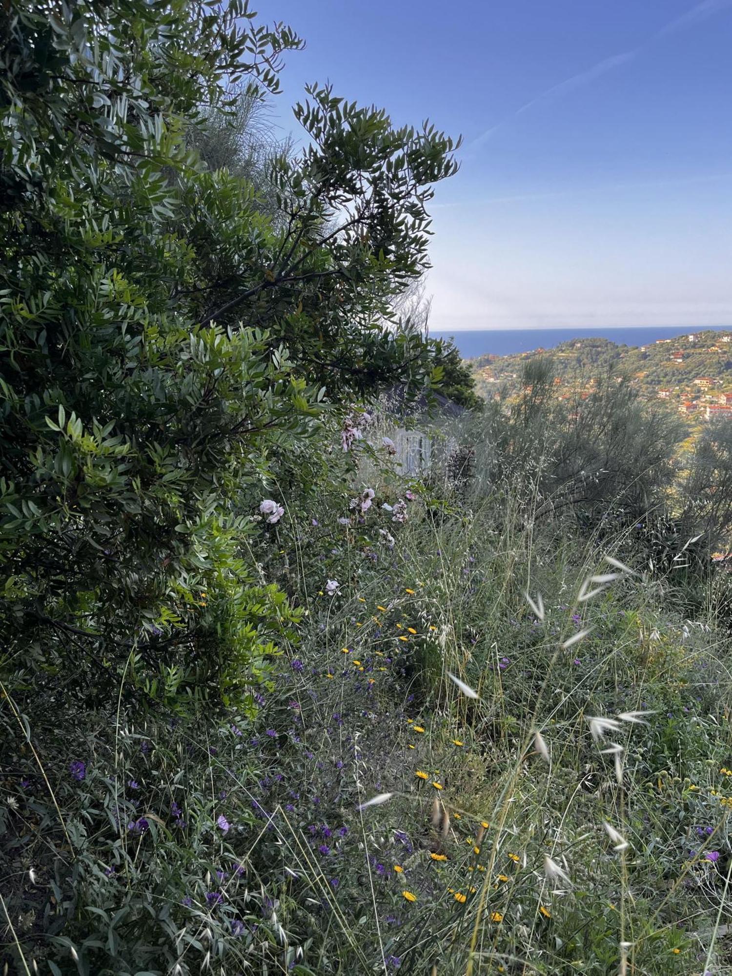 Villa D'Artisti San Remo Zewnętrze zdjęcie