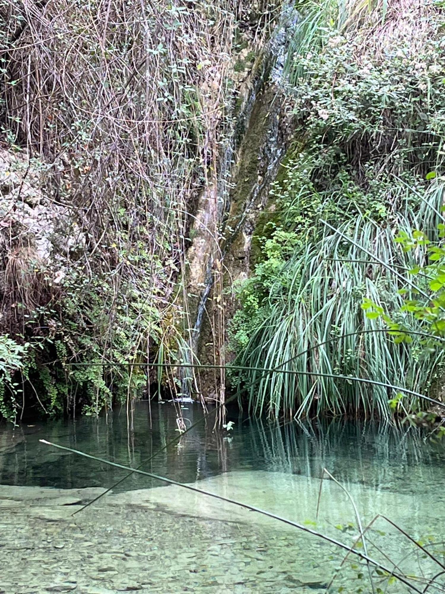 Villa D'Artisti San Remo Zewnętrze zdjęcie